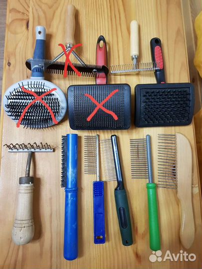 Амуниция для собак