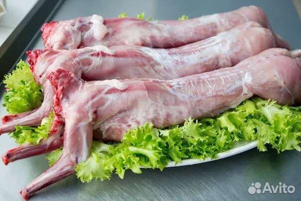 Продам мясо кролика
