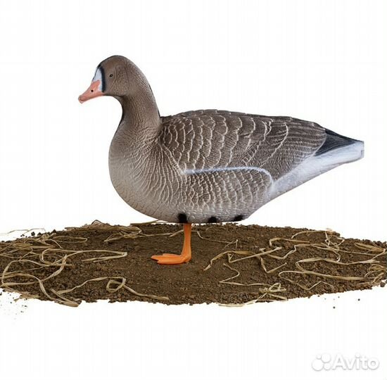 Чучела гусей