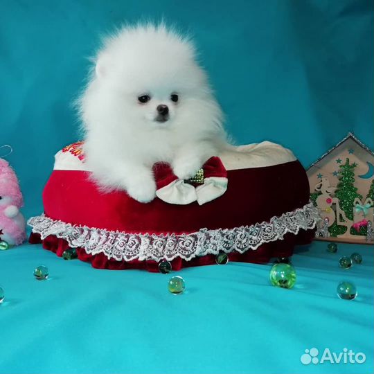 Белый как снег мальчик и девочка