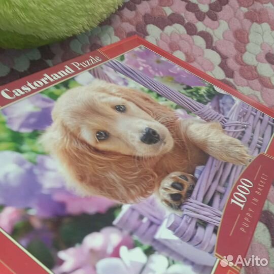 Пазлы 1000 деталей