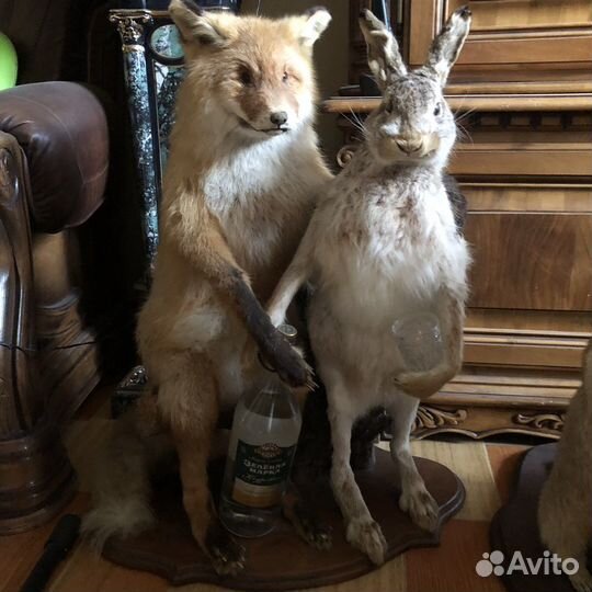 Чучело лисы и зайца