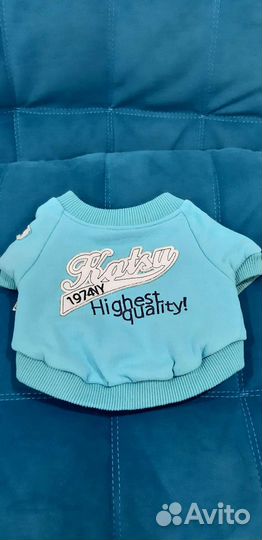 Одежда для собак мелких пород L