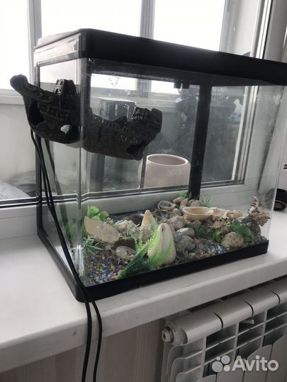 Аквариум