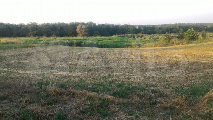 Дом 85 м² на участке 20 сот.