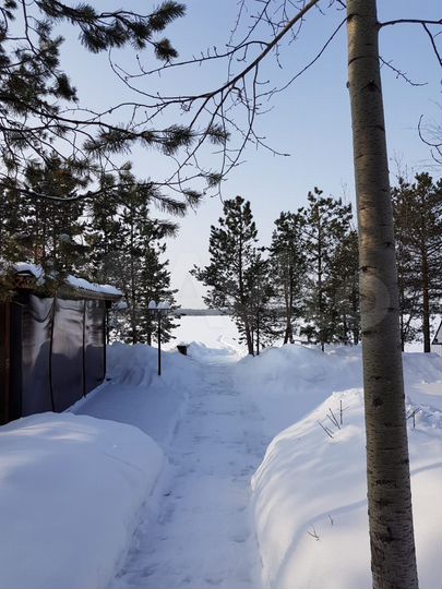 Дача 200 м² на участке 12,5 сот.