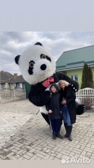 Поздравление панды, поздравление мишки,дед мороза