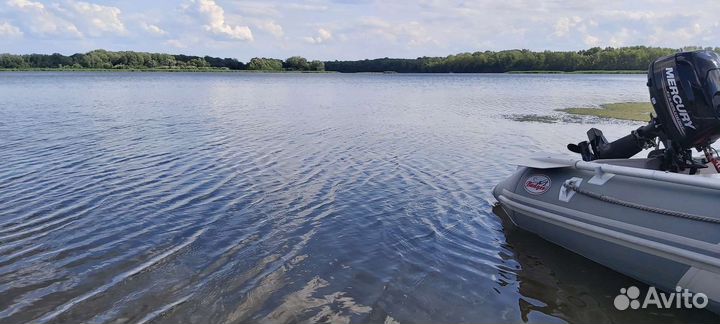 Badger fl330 и Mercury f6mh