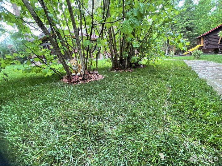 Рулонный газон под ключ. Точно в срок