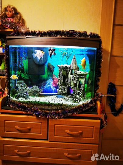 Аквариум Tetra 130 литров с рыбами