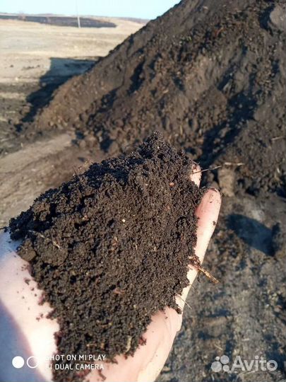 Чернозем, земля плодородная, перегной для огорода