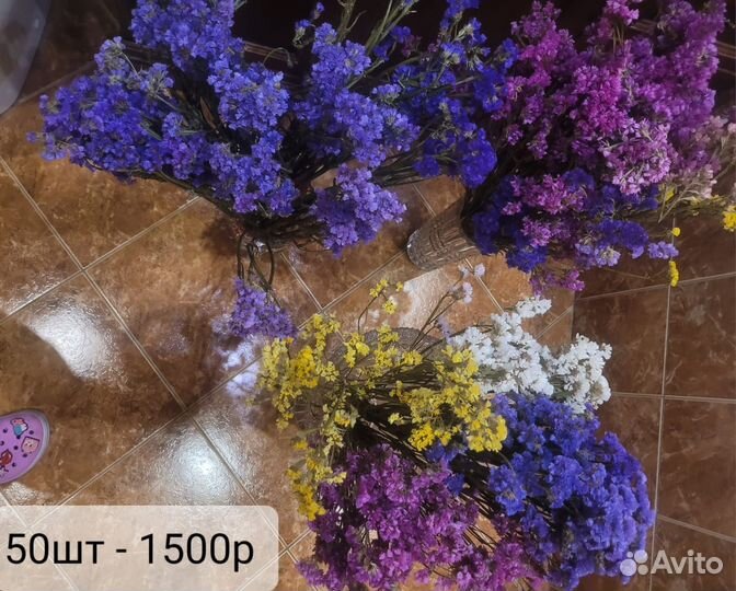 Цветы статицы и гелихризумы