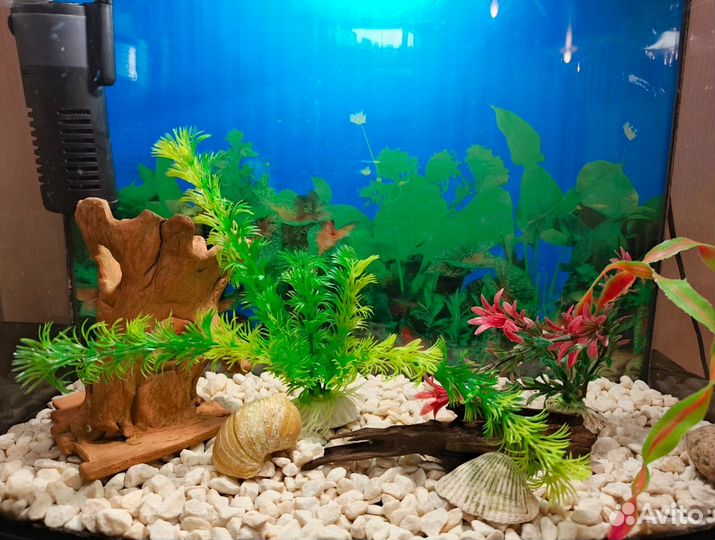Аквариум 30 литров