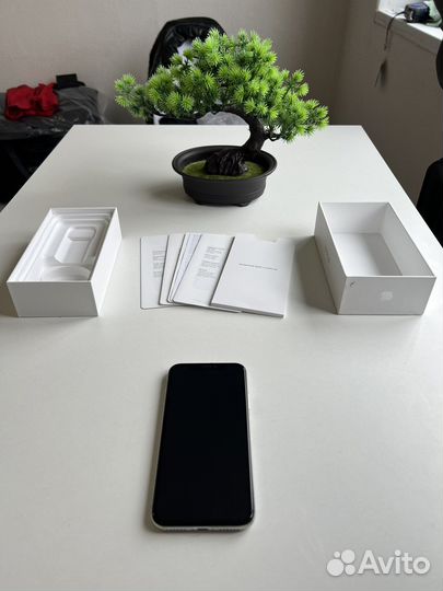 iPhone X 256