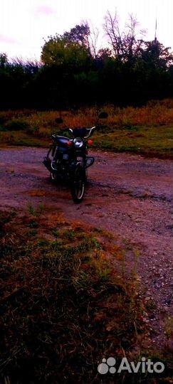 Продам альфу