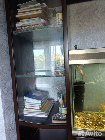Продам большой аквариум на176л с рыбками и стенкой
