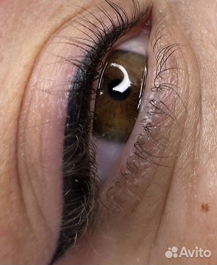 Перманентный макияж бровей