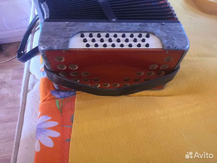 Гармонь устюгская