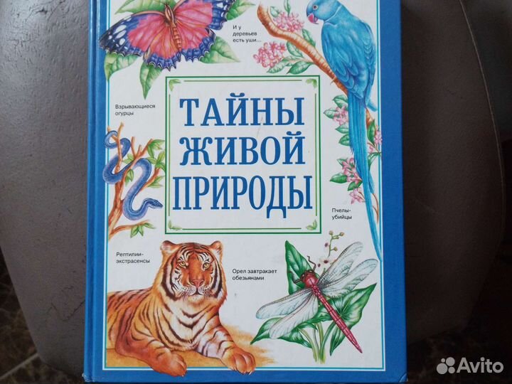 Детские книги энциклопедии