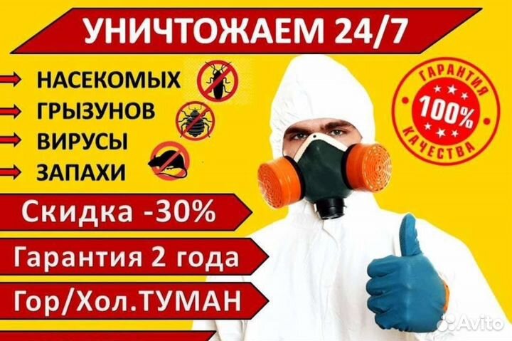 Дезинфекция