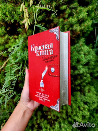 Книга-сейф на магните