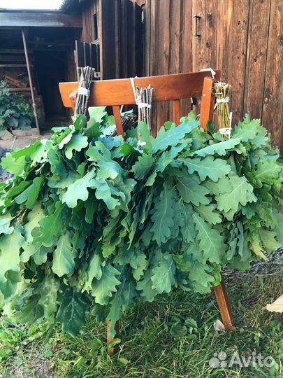 Дубовые банные веники