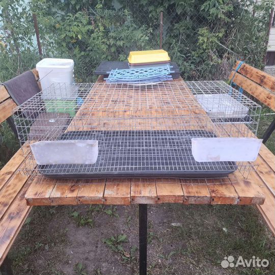 Клетки для перепелов бу