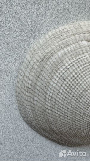 Морская ракушка