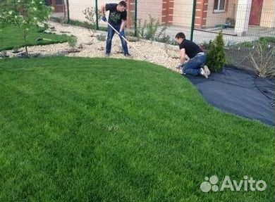 Укладка Рулонного газона