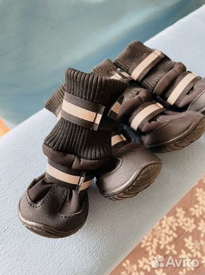 Ботинки для собак. Обувь для собак