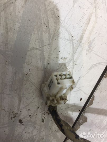 Фонари подсветки номера (Kia Quoris)