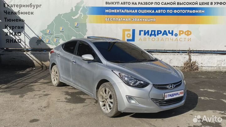 Обшивка двери задней правой Hyundai Avante (MD) 83