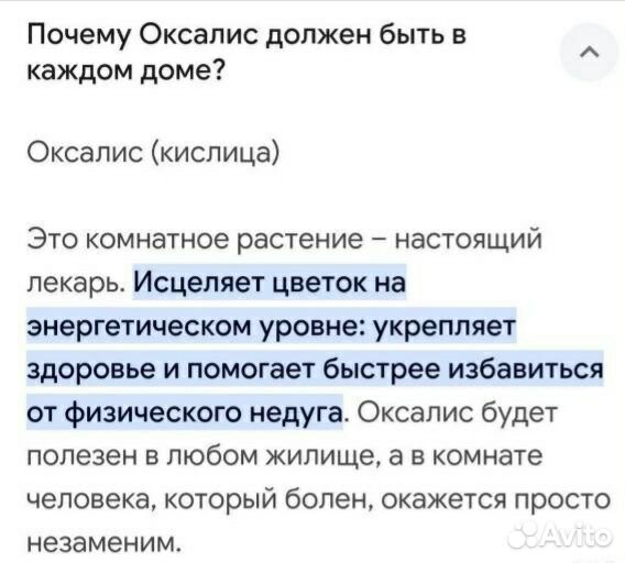 Оксалис Кислица цветущий