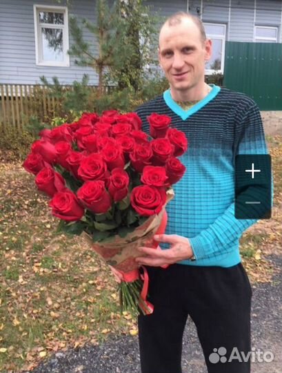 Розы 31 шт 70 см красная