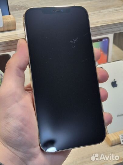 iPhone 12 Pro Max, 256 ГБ