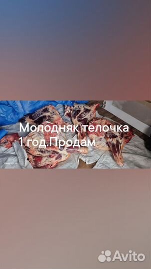 Продам мясо закаменское.Молодняк тёлочка 1 год