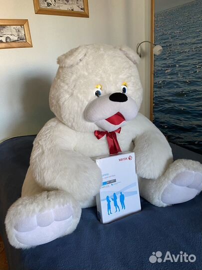 Плюшевый медведь