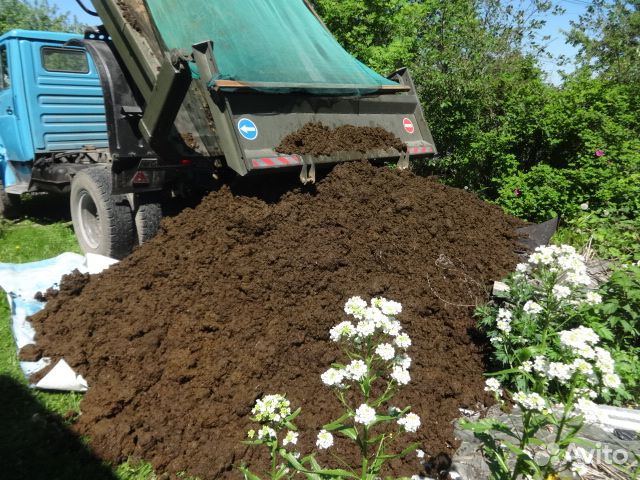 Навоз напрямую с фермы