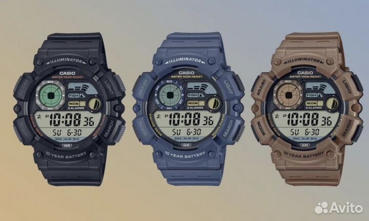 Оригинальные часы Casio Collection WS-1500H-5A