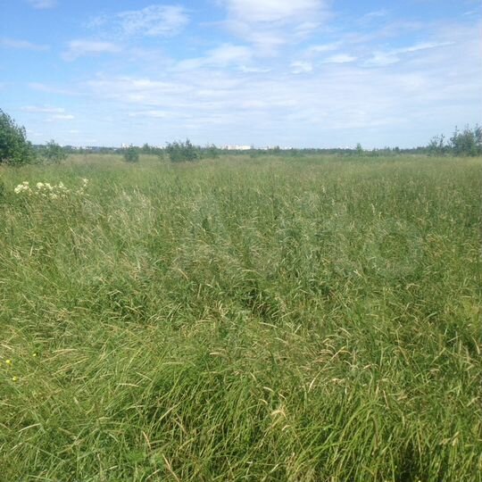 Участок 4,2 га (СНТ, ДНП)