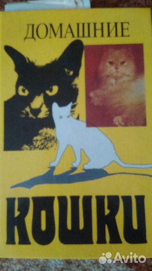 Книга Все о кошках