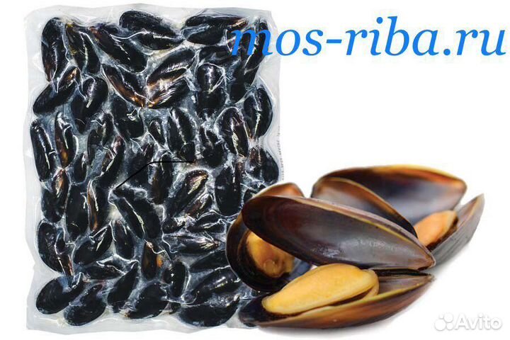 Мидии в раковине 1кг