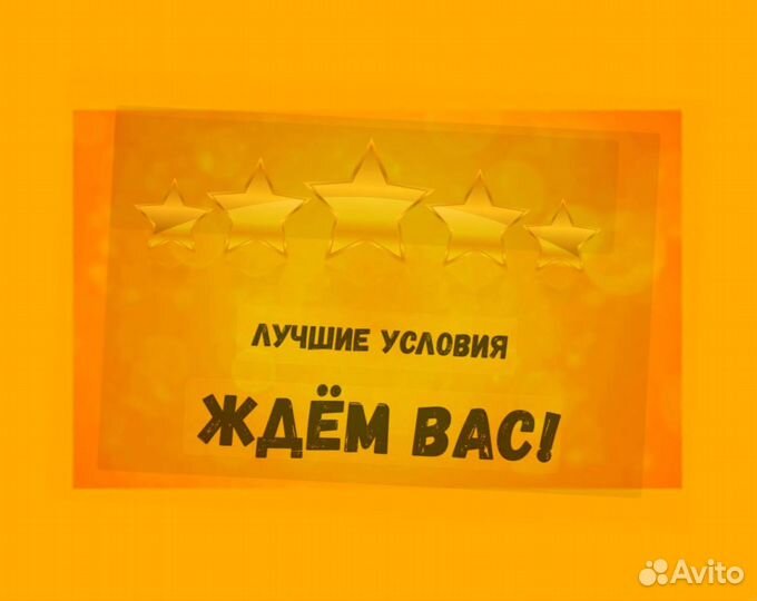 Маркировщик Еженедельный аванс М/Ж Спецодежда