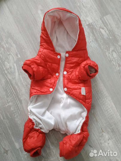 Одежда для маленьких собак