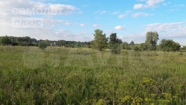 Участок 10 сот. (СНТ, ДНП)