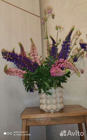 Букет Люпинов