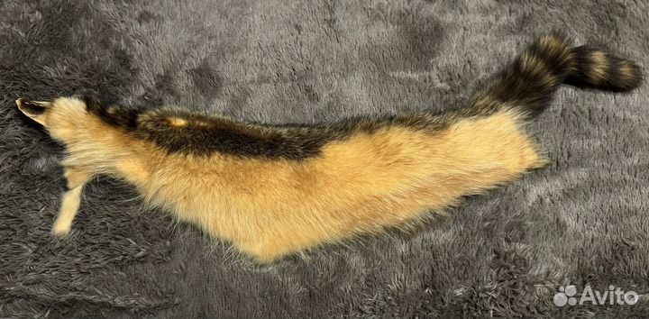 Воротник шкура енота