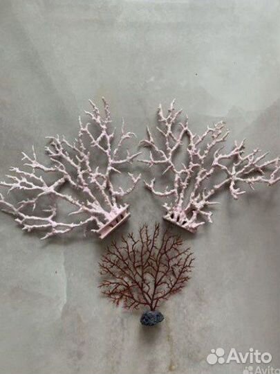 Для аквариума