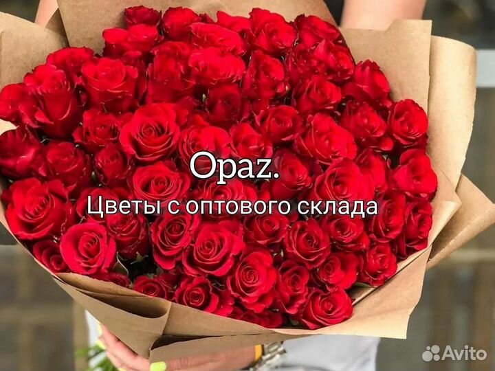 Цветы 51 роза Эквадор 60см