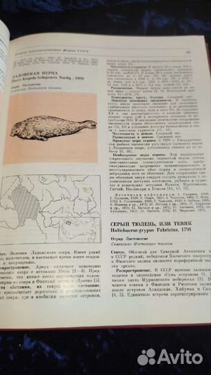 Красная книга СССР 1978